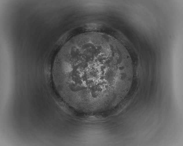 X0000110880737200906251248