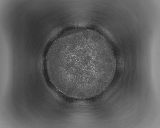 X0000110880738200906251248