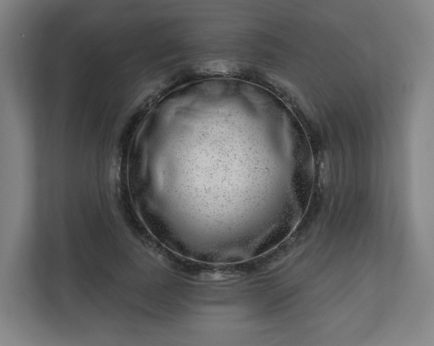 X0000110880739200906251248