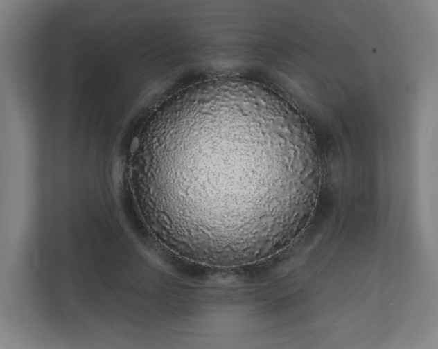 X0000110880742200906251248