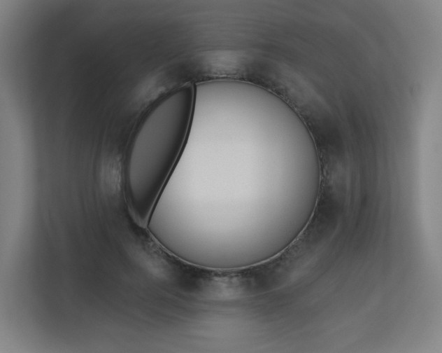 X0000110880744200906251248