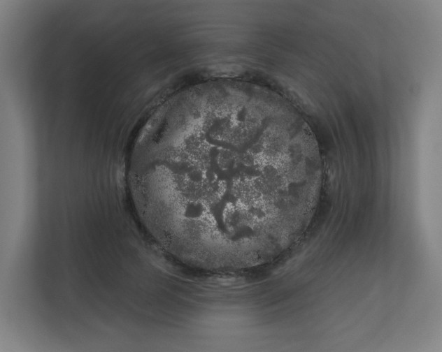 X0000110880745200906251248