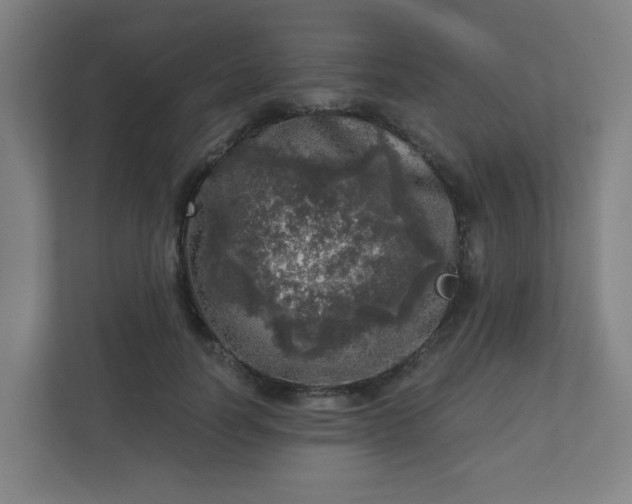 X0000110880746200906251248
