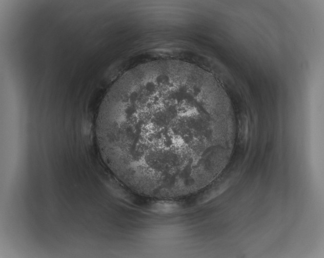 X0000110880749200906251248