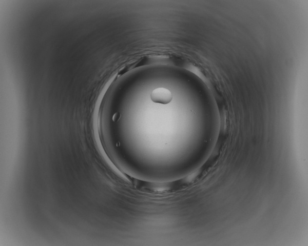 X0000110880750200906251248