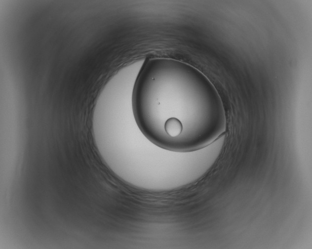 X0000110880752200906251248