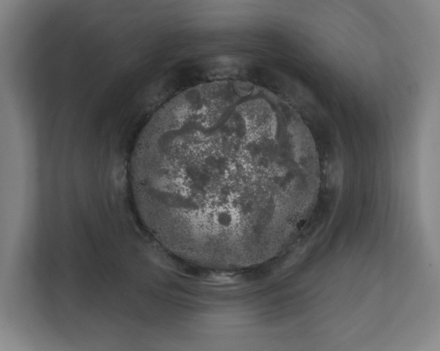 X0000110880753200906251248