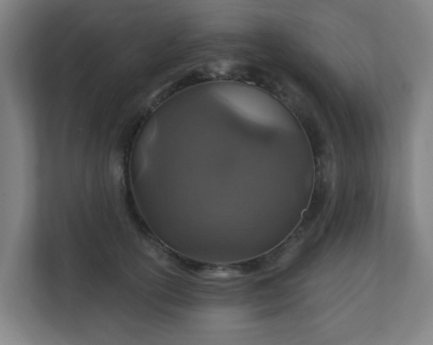 X0000110880754200906251248