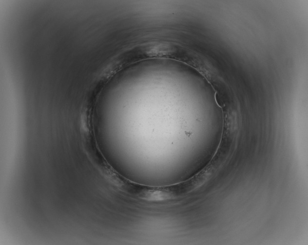 X0000110880755200906251248