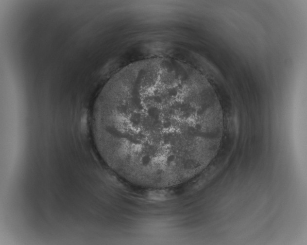 X0000110880757200906251248