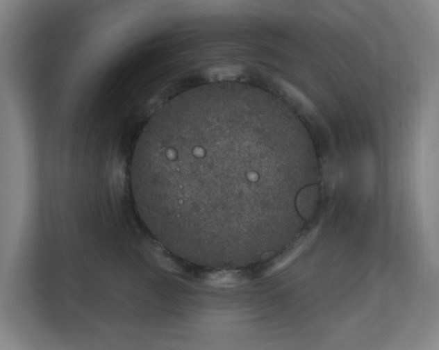 X0000110880761200906251248