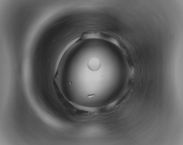 X0000110880764200906251248