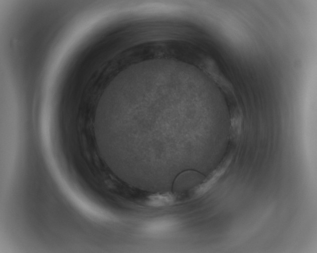 X0000110880765200906251248