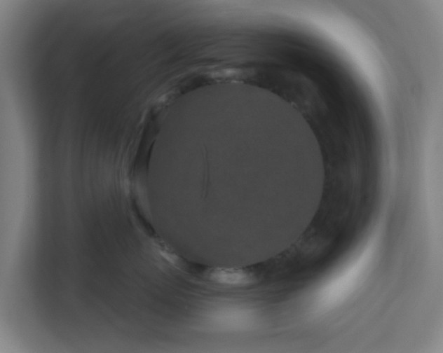 X0000110880767200906251248
