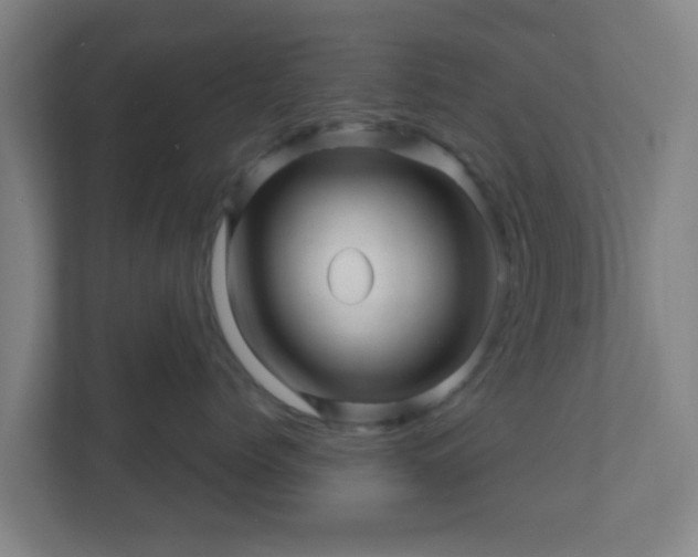 X0000110880768200906251248