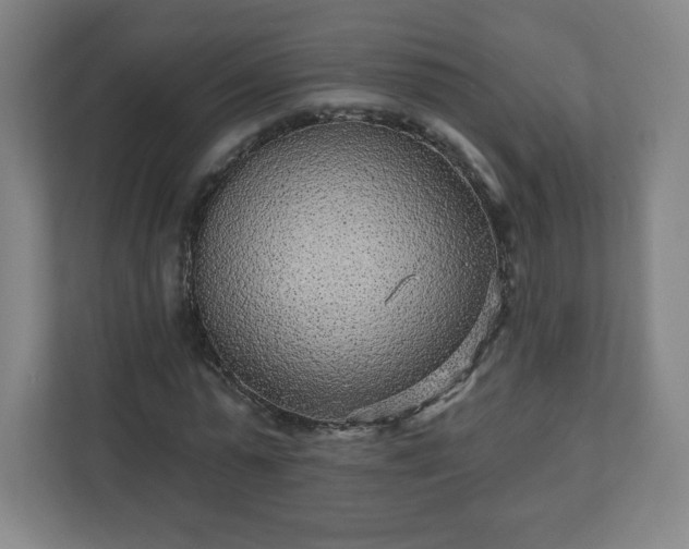 X0000110880775200906251248