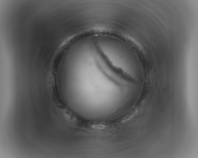 X0000110880776200906251248