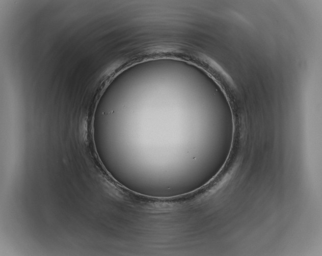 X0000110880777200906251248