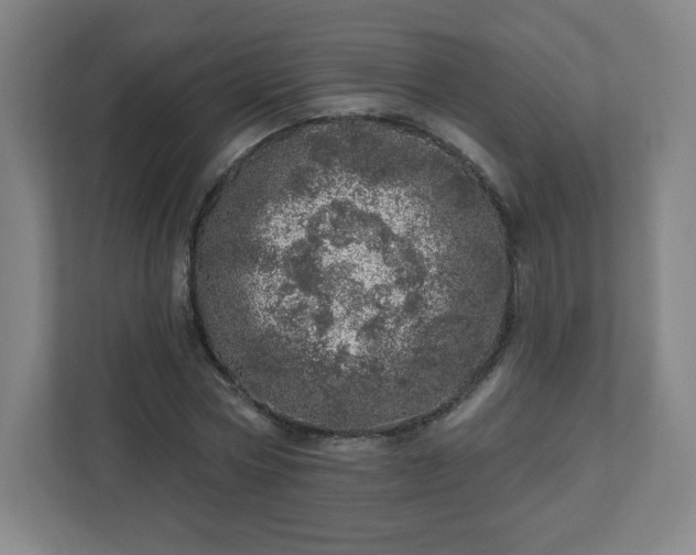 X0000110880778200906251248