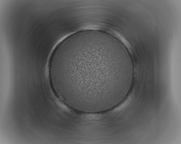 X0000110880779200906251248