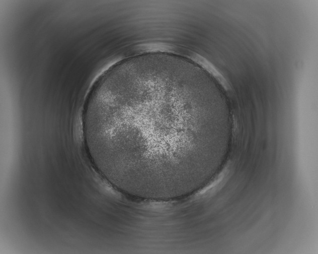 X0000110880782200906251248