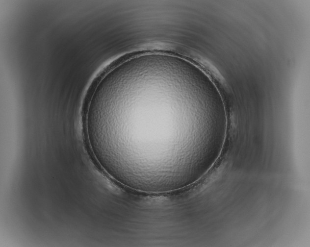 X0000110880784200906251248