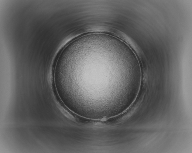 X0000110880787200906251248