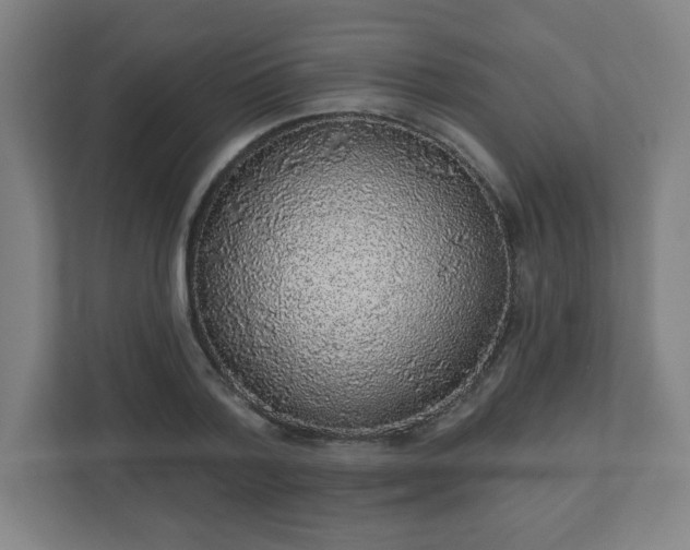 X0000110880788200906251248