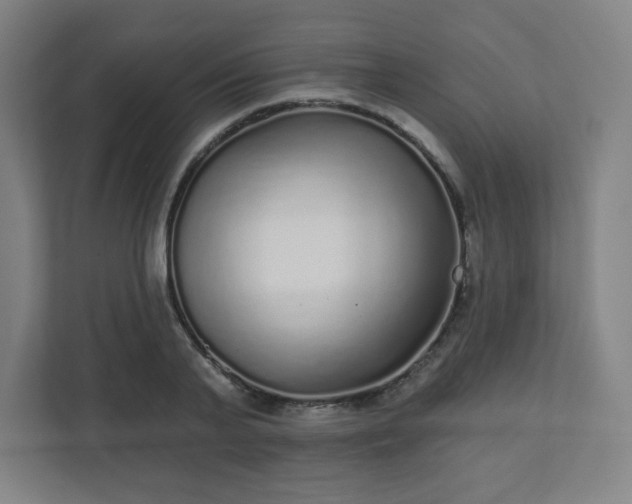 X0000110880791200906251248