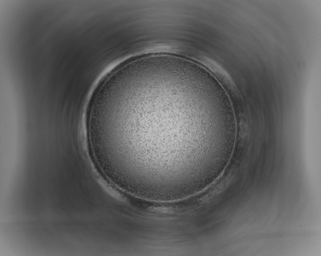 X0000110880792200906251248