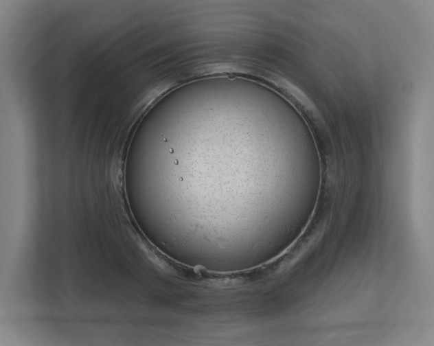 X0000110880793200906251248