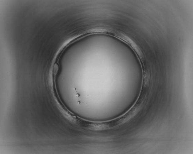 X0000110880795200906251248