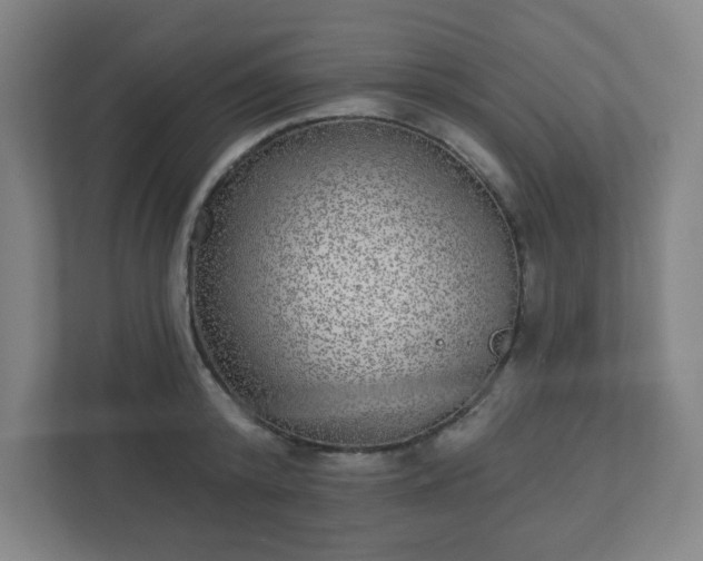 X0000110880800200906251247