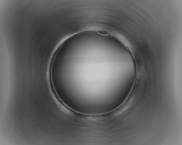 X0000110880803200906251247