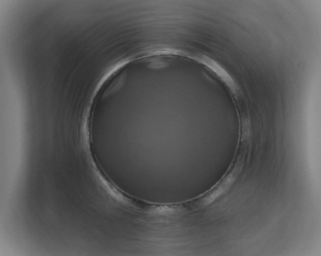 X0000110880806200906251247