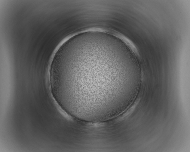 X0000110880808200906251247