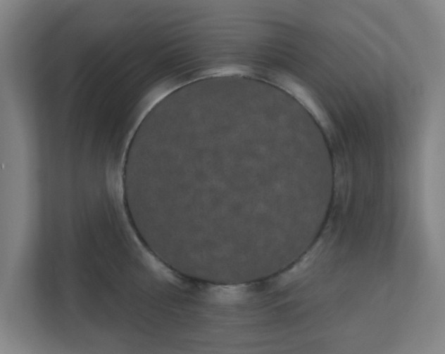 X0000110880810200906251247