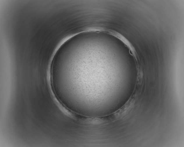 X0000110880811200906251247