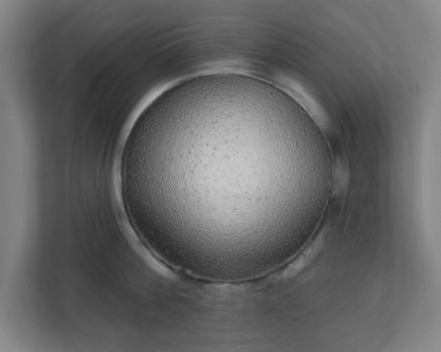 X0000110880812200906251247