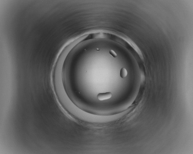 X0000110880813200906251247