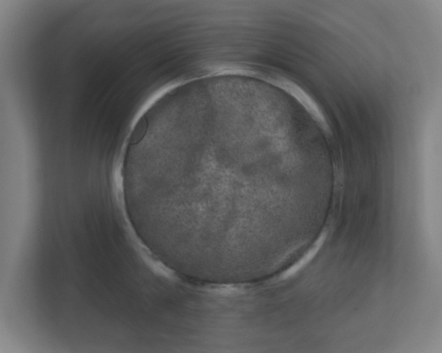 X0000110880814200906251247