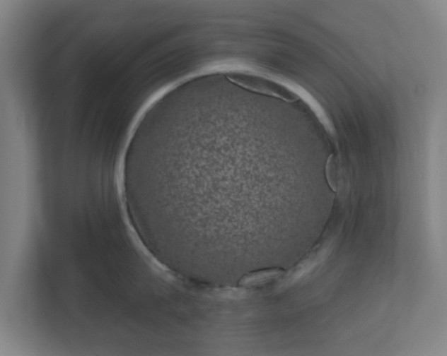 X0000110880815200906251247
