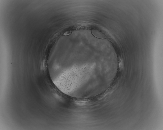 X0000110880819200906251247