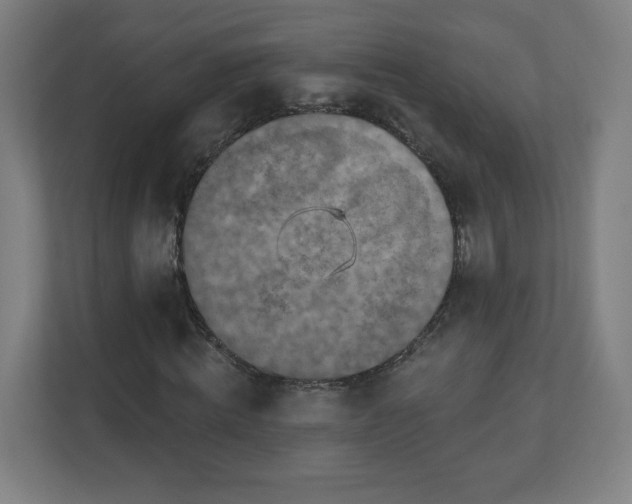X0000110880820200906251247