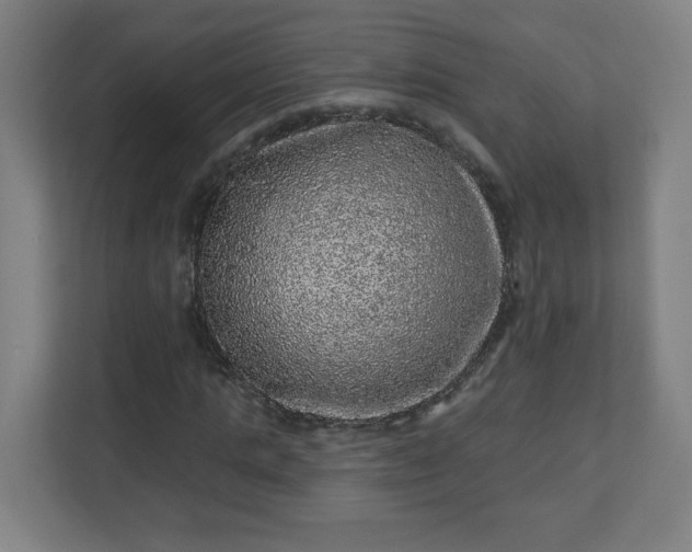 X0000110880821200906251247
