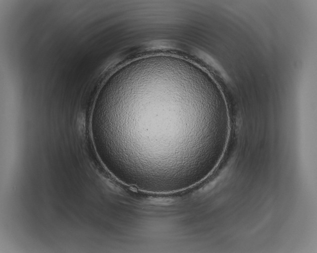 X0000110880825200906251247