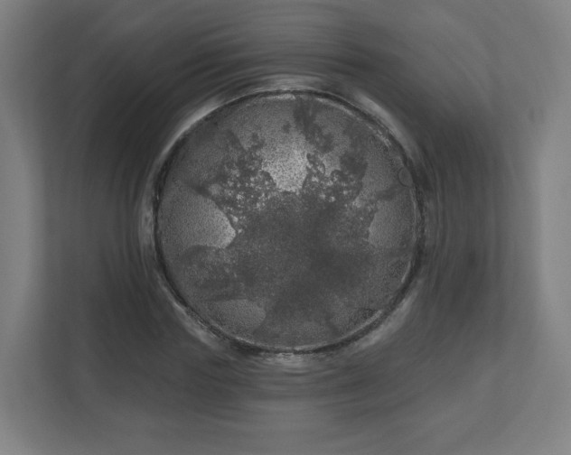 X0000110880827200906251247