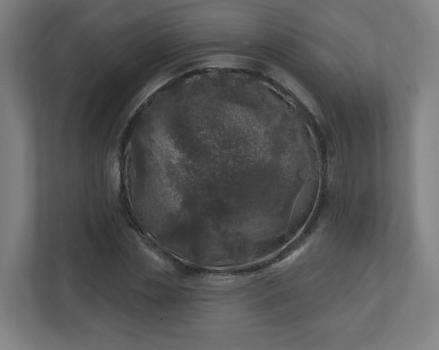 X0000110880829200906251247