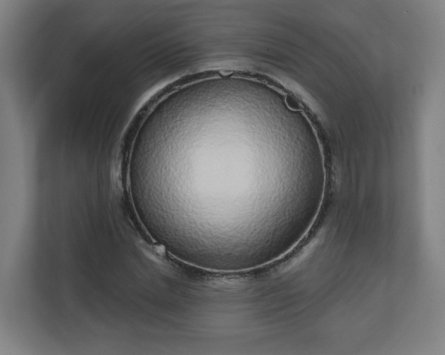 X0000110880830200906251247