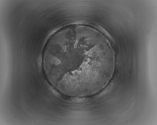 X0000110880831200906251247